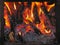 Firewood burns in furnace