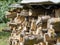 Firewood chopped stacked in a pile, in the summer on a Sunny day. Pile of Firewood.Firewood background