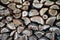 Firewood close-up. Background of chopped firewood in a pile.