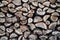 Firewood close-up. Background of chopped firewood in a pile.