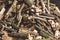 Firewood of different shapes piled with bunch