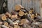 Firewood logs heaped in a pile