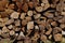 The firewood is neatly stacked near the house in a woodpile.