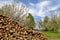 Firewood in Odenwald region