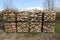 Firewood on pallets