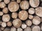Firewood pile stacked . Woodpile of round logs . Chopped wood trunks as background
