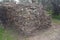 Firewood piled up in an agricultural field with olive plants in