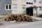 Firewood ready for cutting and storing delivered in front of old apartment building as preparation for cold winter