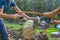 Firewood sawing