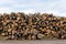 Firewood, sawn trees. Woodpile - stack of wood