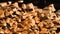 Firewood stacked background. Firewood stacked and prepared for winter. Industry timber firewood logs stacked up. Concept of