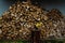 Firewood is stacked in a row, prepared for heating rooms in the cold season