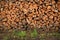 firewood woodpile grass background texture