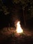 Firework explodes in fire in Forest