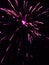 Firework exploding into pink  lights