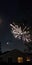 Firework night skies