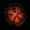Fireworks background. Fireworks isolated. Orange firewroks
