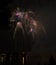 Fireworks celebration over Ohio River