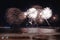 Fireworks display, night show on seafront, pyrotechnic festival. Antibes Juan les Pins