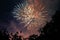 Fireworks explode over the tree tops in a spectacular display of celebration for the River Fire Festival