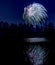 Fireworks exploding over woodland pond.