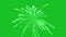 Fireworks on green screen background motion graphic effects.