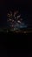 Fireworks in navy-blue sky