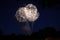 fireworks in the nightsky or late evening blue hour