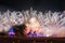 Fireworks at Sukhothai historical park, Mahathat Temple ,Thailand.