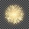 Fireworks on transparent background. Festival gold firework. Vector llustration