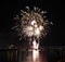 Fireworks of yellow balls with palm branches and purple droplets