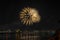 Fireworks of yellow tassels similar to the leaves of a palm tree