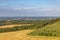 Firle Beacon View