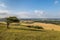 Firle Beacon View