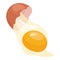 Firm ovules meal icon cartoon . Broken egg