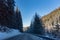 Firs Covered by the Snow in Alps Mountains in the North of Italy in Winter taken by the inside of a Car