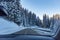 Firs Covered by the Snow in Apls Mountains in the North of Italy in Winter taken by the inside of a Car