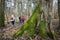 Firs Laskie Nature Reserve Stanislaw Kostka Wisinski - an outstanding forester