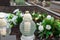 Firs november day.A candle and fake white roses at a cemetery