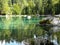 Firs and reflection on the green lake.