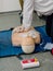 First aid cardiopulmonary resuscitation course.