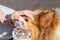 First aid with water bottle on dogs eyes