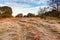 First autumn frosts. Road in the meadow