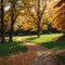 First Autumn Leaves on green grass in park. Autumn scene with falled leaves in sunny day. Colorful maple leaves.