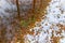 The first autumn snow and reflection of trees in puddle on a footpath in the old park