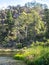 First Basin in Cataract Gorge, Tasmania