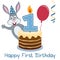 First Birthday Bunny Rabbit