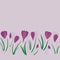 First crocuses spring fresh floral  botanical seasonal seamless bottom  horizontal border