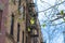 First Emerging Green Leaves during Spring on a Tree with an Urban Apartment Building in the background