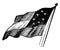 The first flag of the U.S. Confederacy, vintage illustration